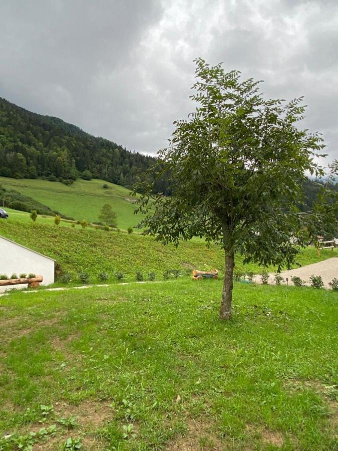 Apartma Lupis Podvolovljek ภายนอก รูปภาพ